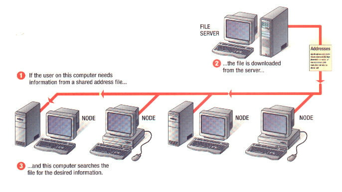 File Server Network